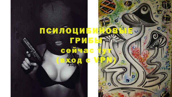 spice Зерноград