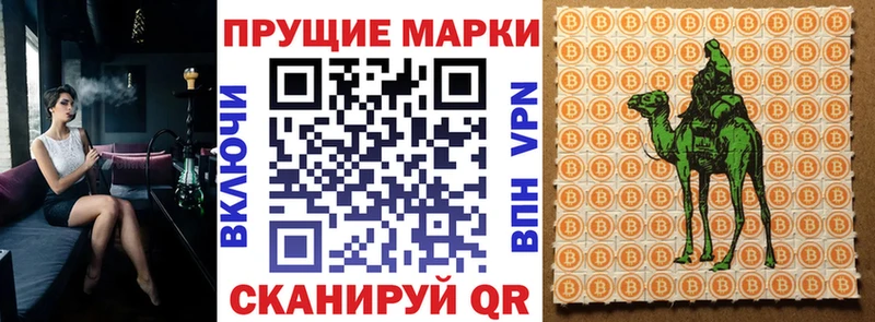 даркнет сайт  omg ссылки  Наркотические марки 1,8мг  Каргополь 